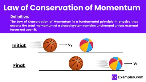 Momentum FAQs .